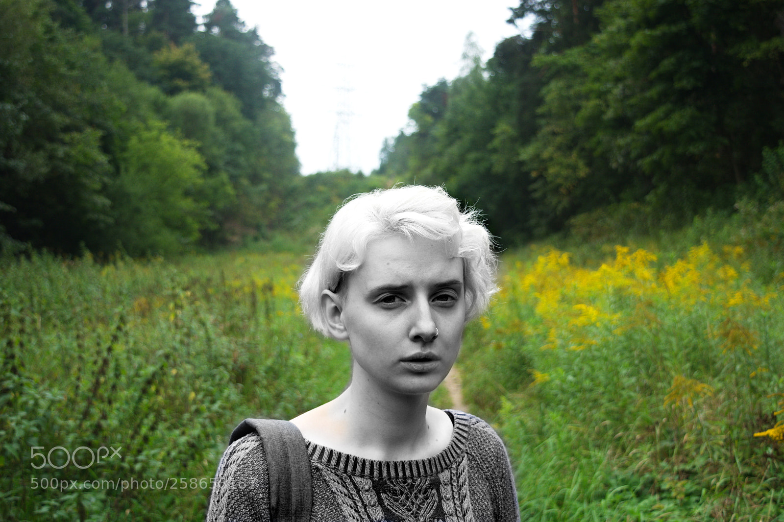 Nikon D5200 sample photo. For a moment there photography