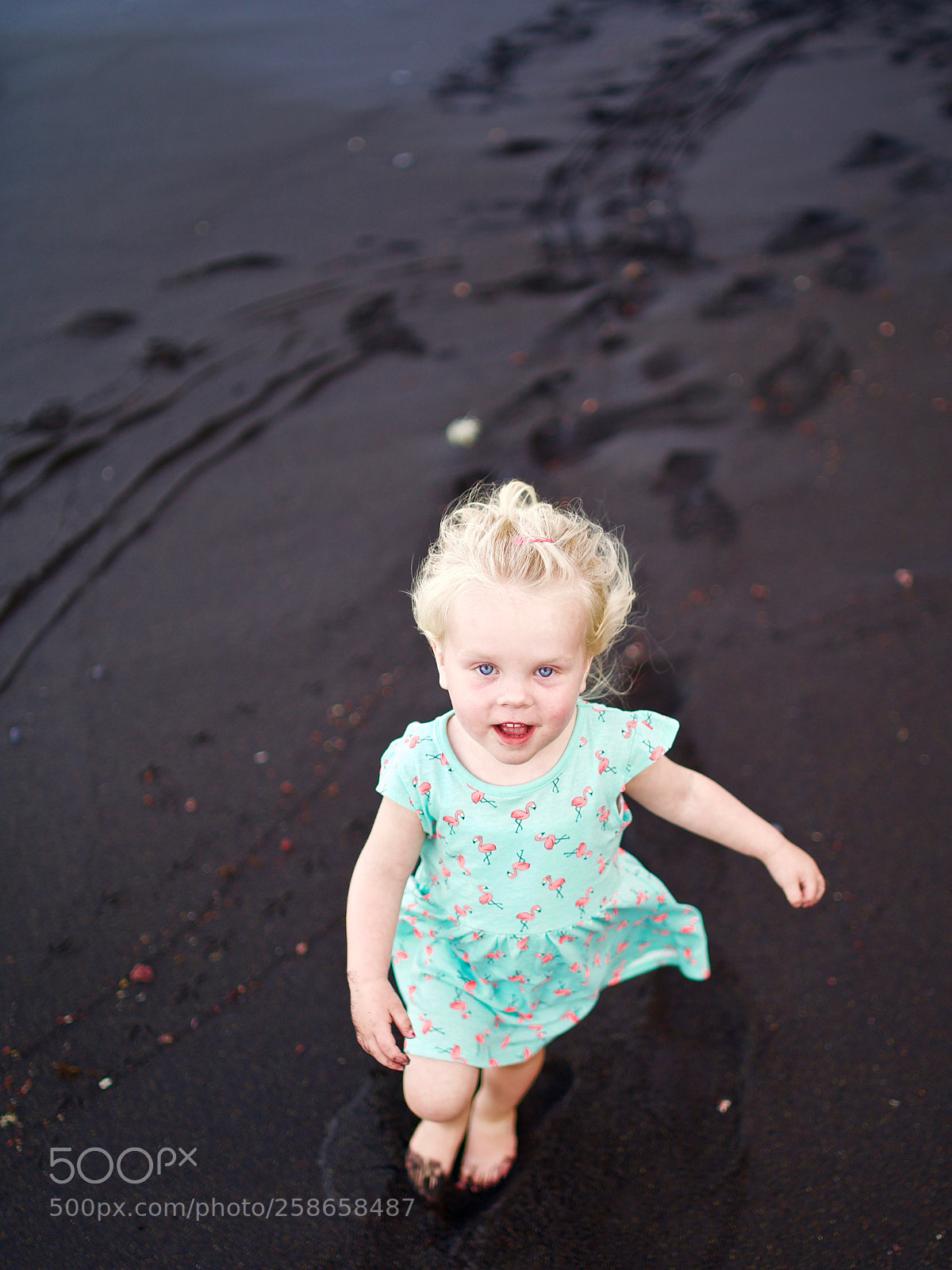 Sony a7R II sample photo. Black and pink photography