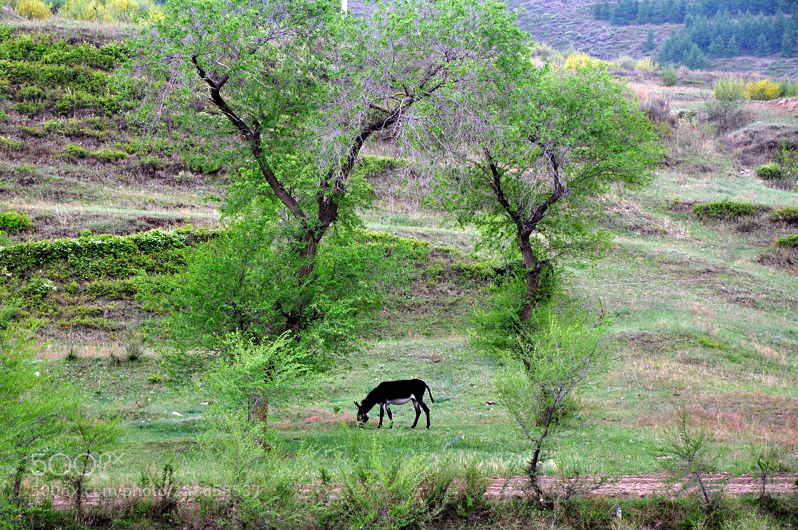 Nikon D90 sample photo. Untitled photography