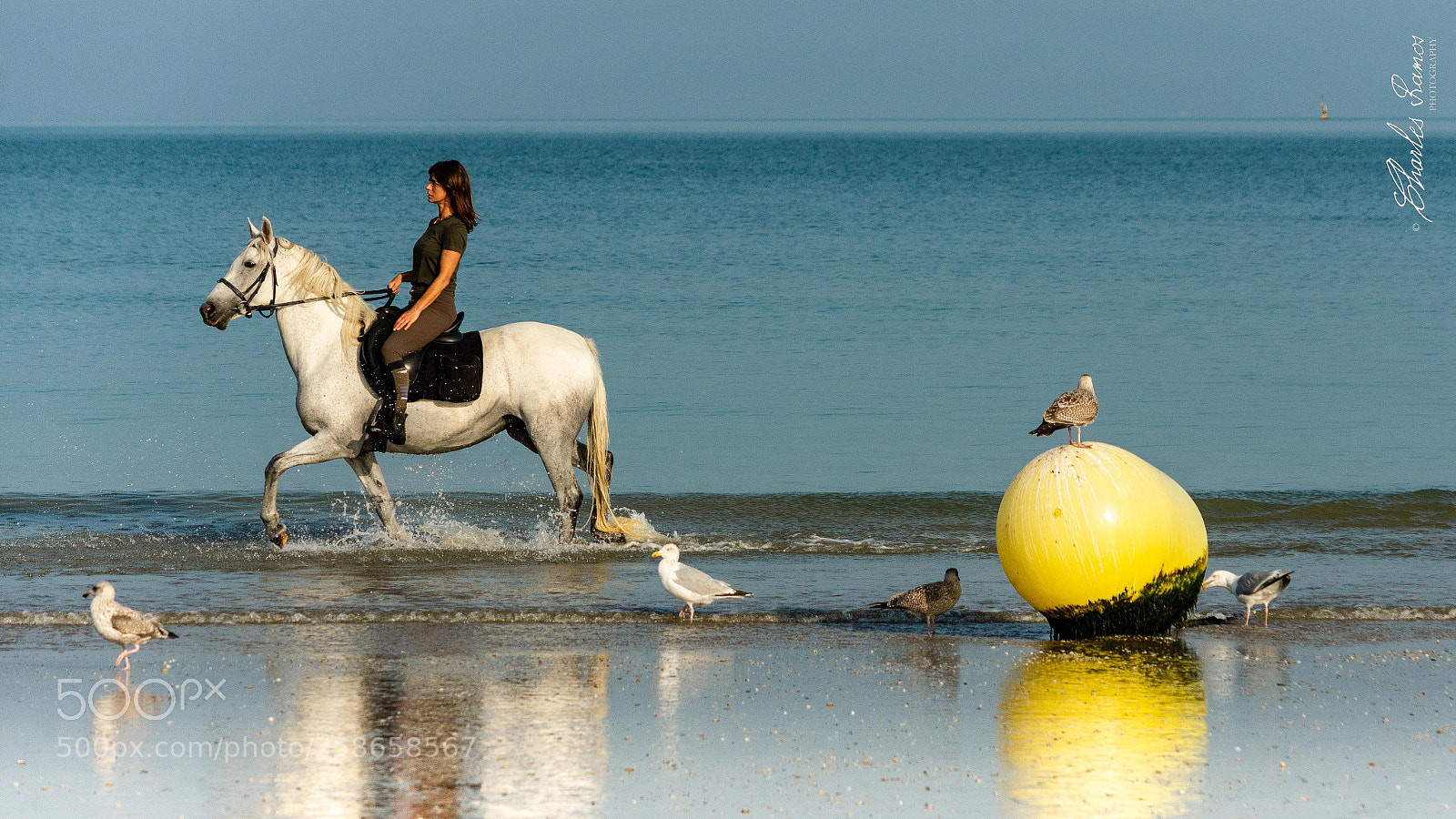 Nikon D7200 sample photo. Blue morning photography