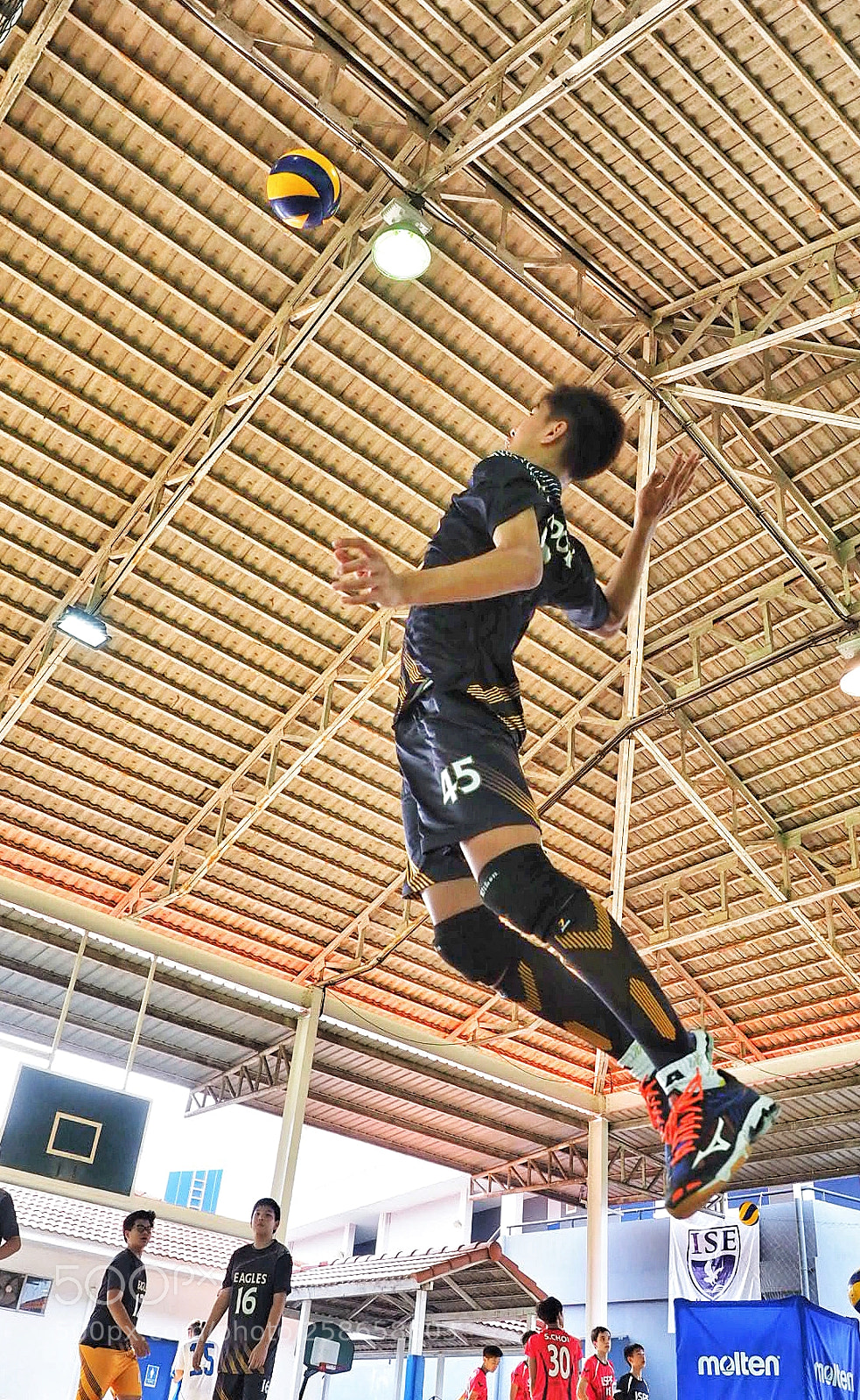 Olympus OM-D E-M1 Mark II sample photo. Jump to the top photography