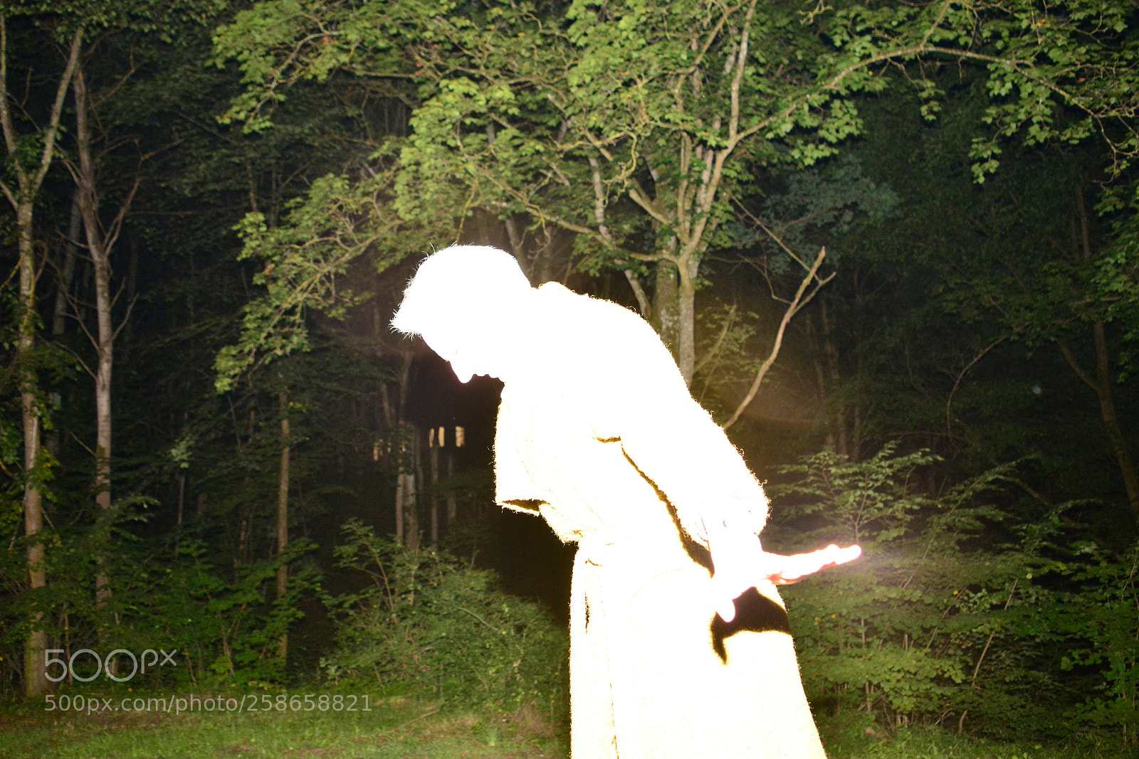 Nikon D5200 sample photo. Spirited away photography