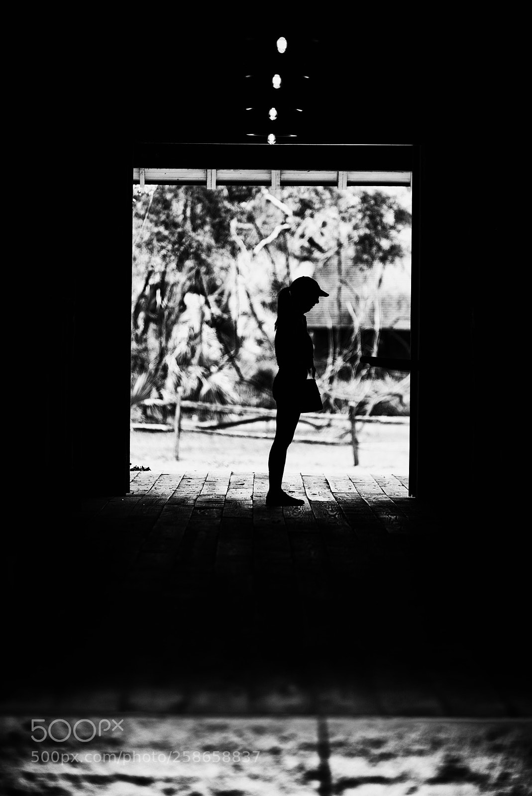 Nikon D810 sample photo. Silhouette photography