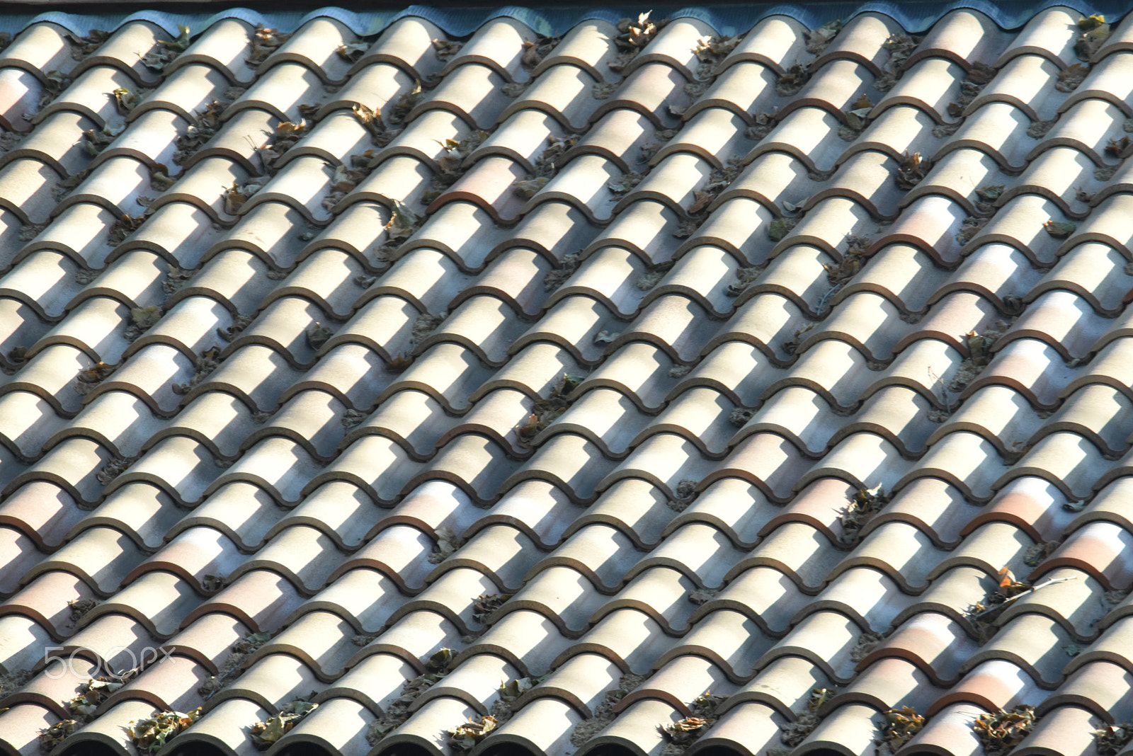 Nikon D810 sample photo. Alignement photography