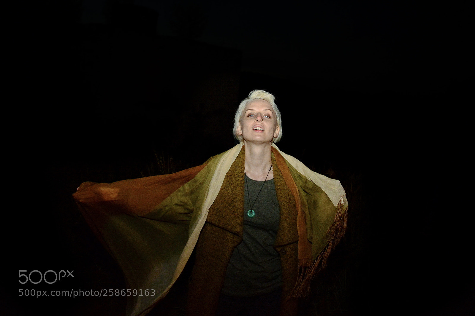 Nikon D5200 sample photo. Lady of the night photography
