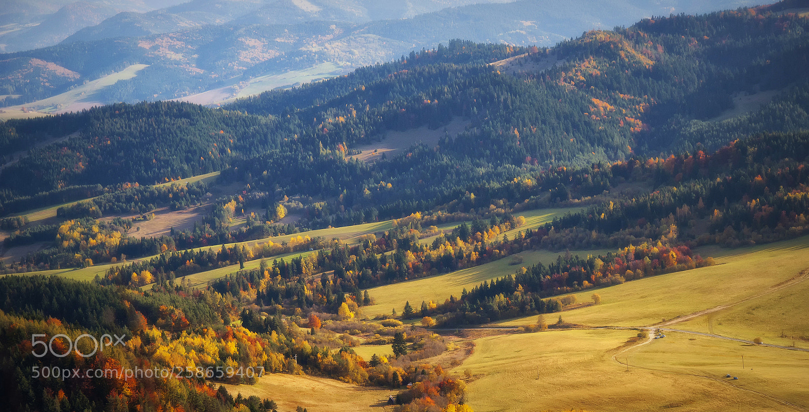 Nikon D5000 sample photo. Autumn photography