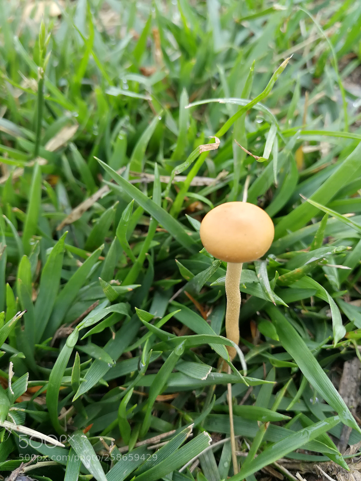 HUAWEI Mate 9 sample photo. Untitled photography