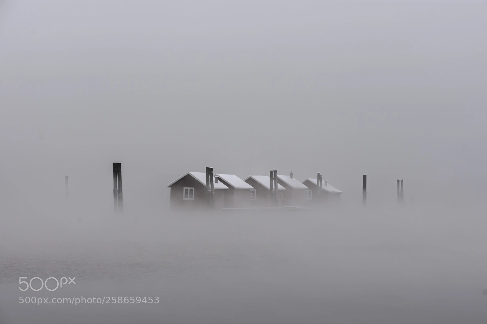 Nikon D7200 sample photo. Floating in fog photography