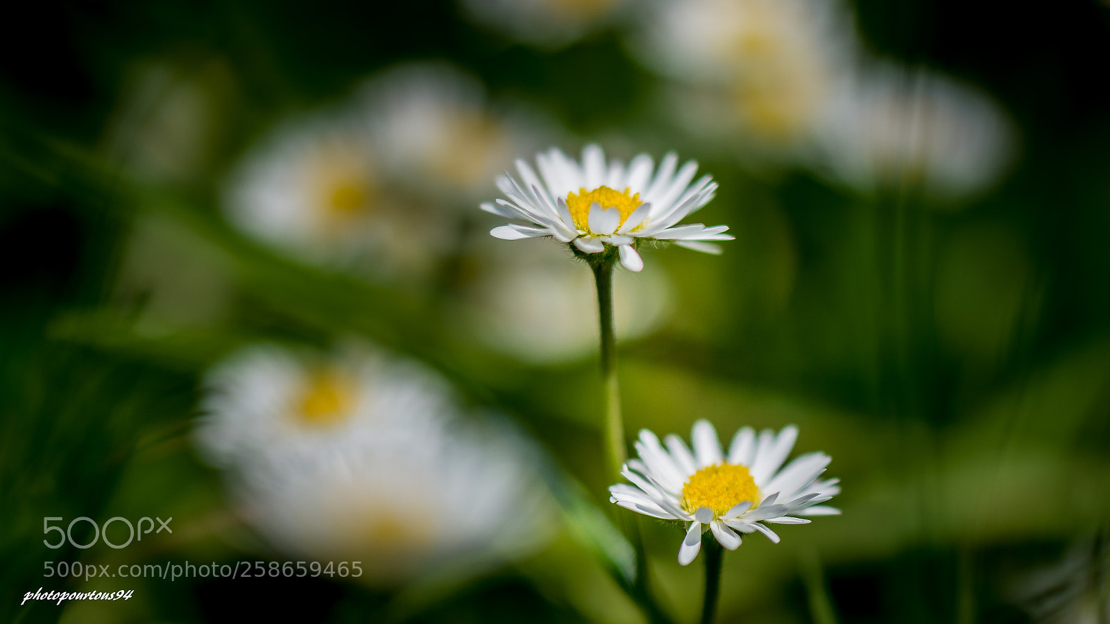 Nikon D7100 sample photo. Paquertte retouche photography