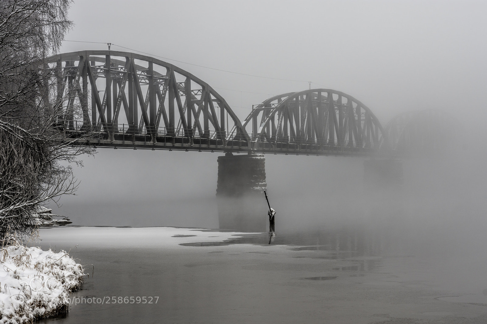 Nikon D7200 sample photo. Bridge photography