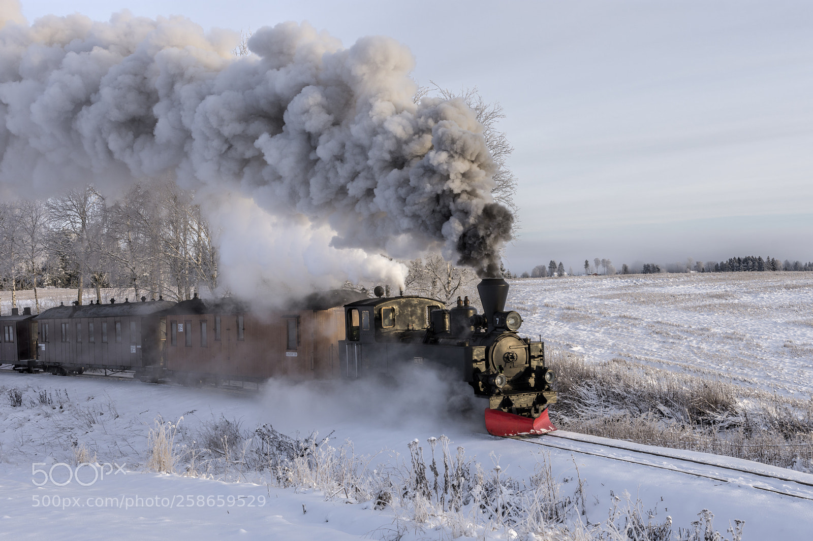 Nikon D7200 sample photo. Steam photography