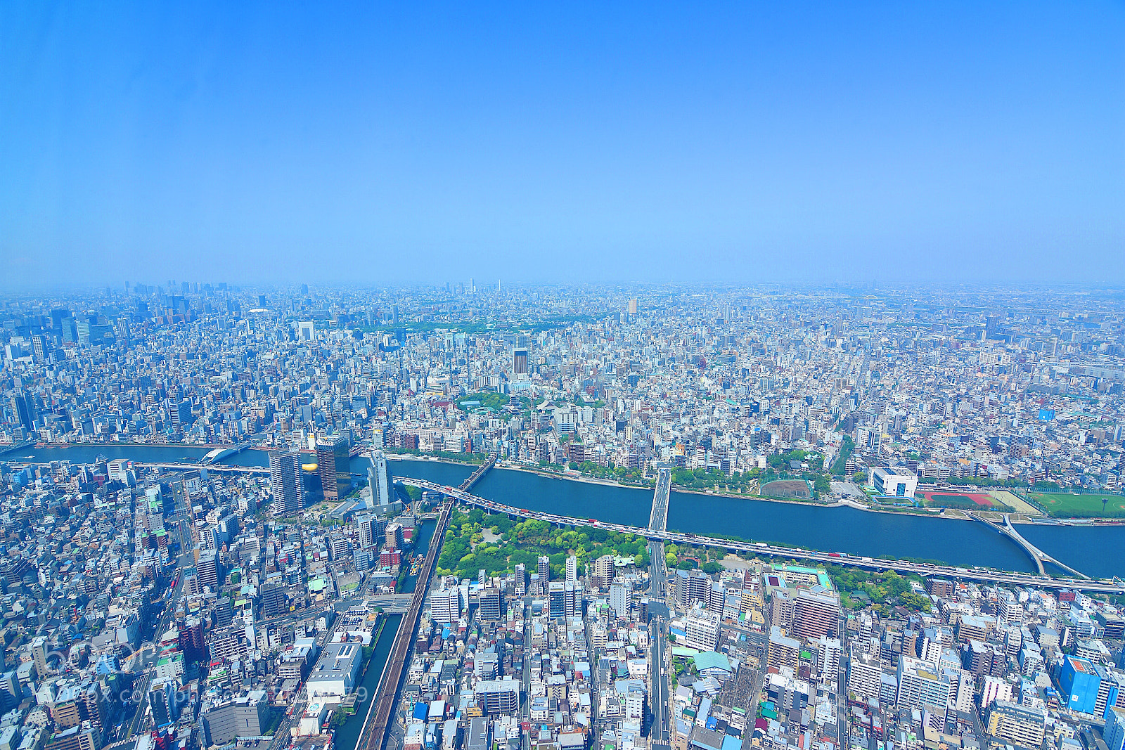 Nikon D7200 sample photo. Tokyo skystree photography