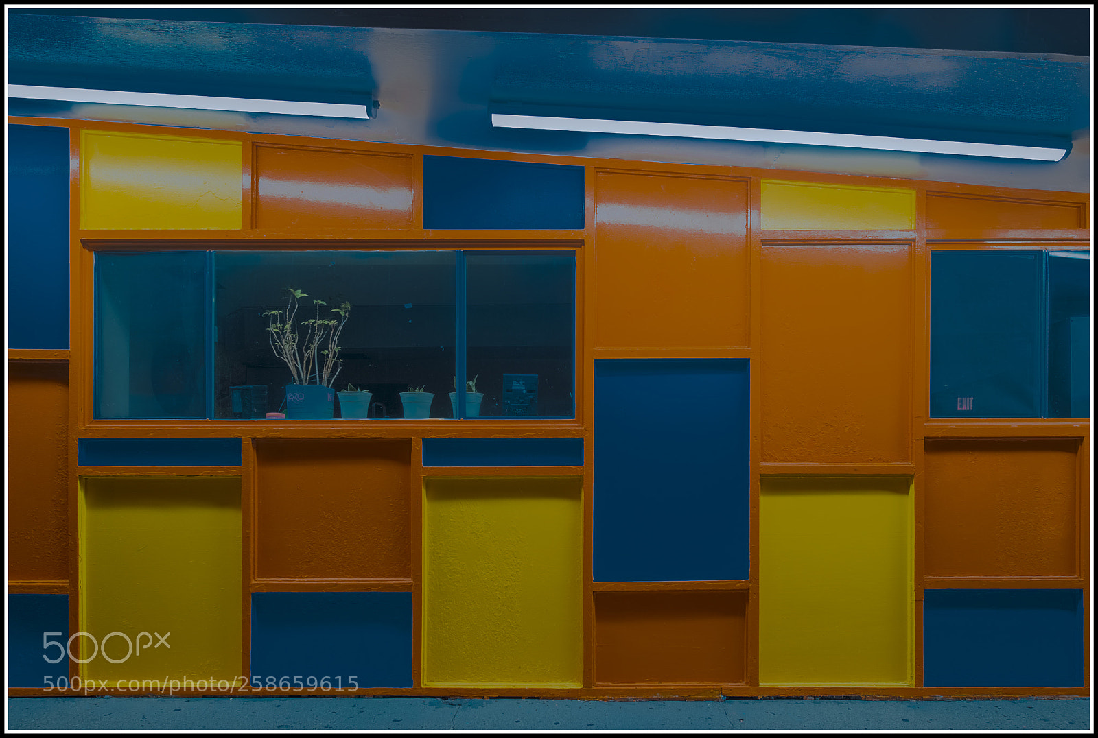 Nikon D610 sample photo. Picture window photography