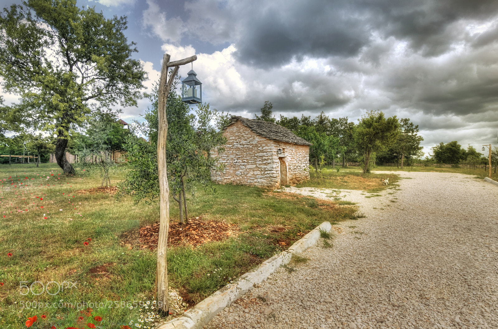 Canon EOS 6D Mark II sample photo. In the old fortress photography
