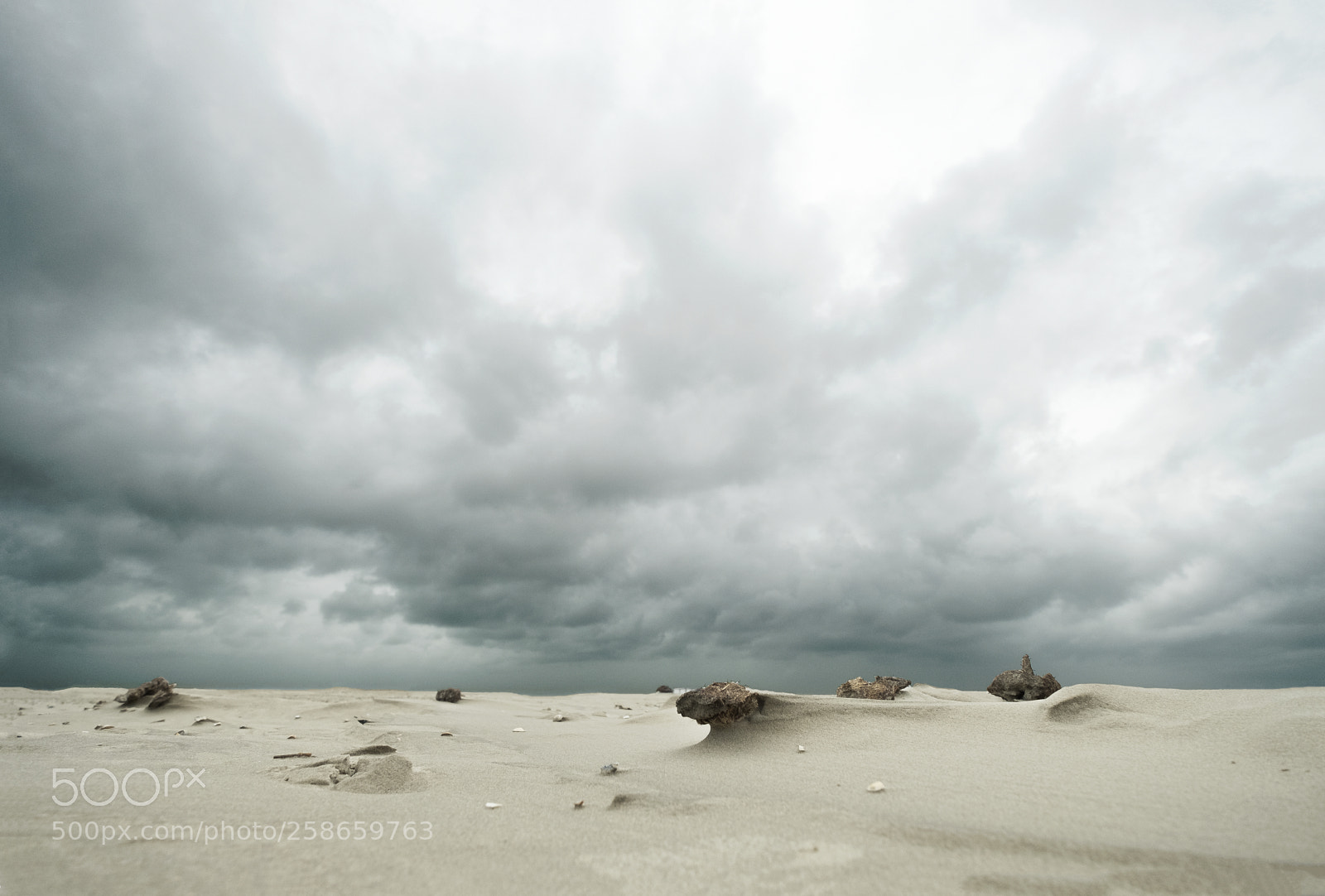 Fujifilm X-T2 sample photo. "shark sand" photography