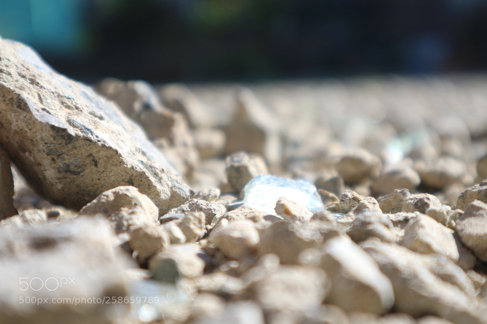 Canon EOS M3 sample photo. Untitled photography