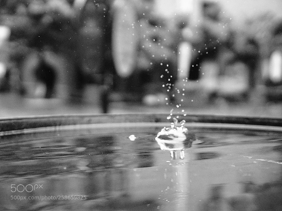 Sony a7R II sample photo. After rain photography
