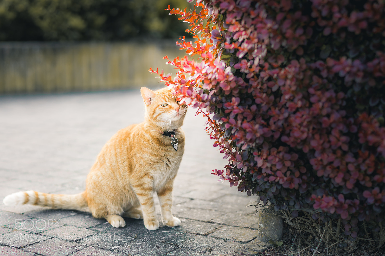 Sony a7 sample photo. Why you look at photography