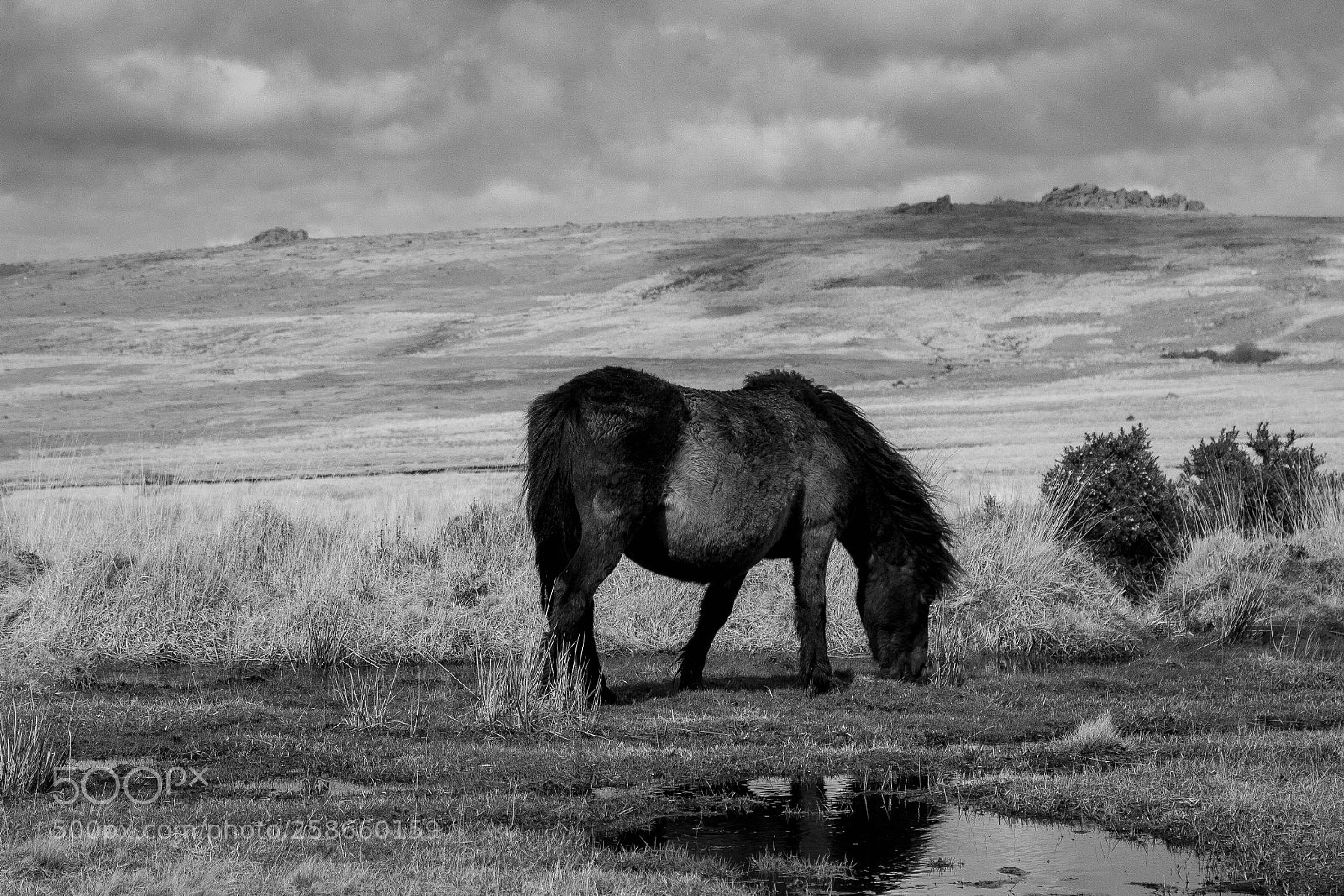 Canon EOS 100D (EOS Rebel SL1 / EOS Kiss X7) sample photo. Trowlesworthy tors photography