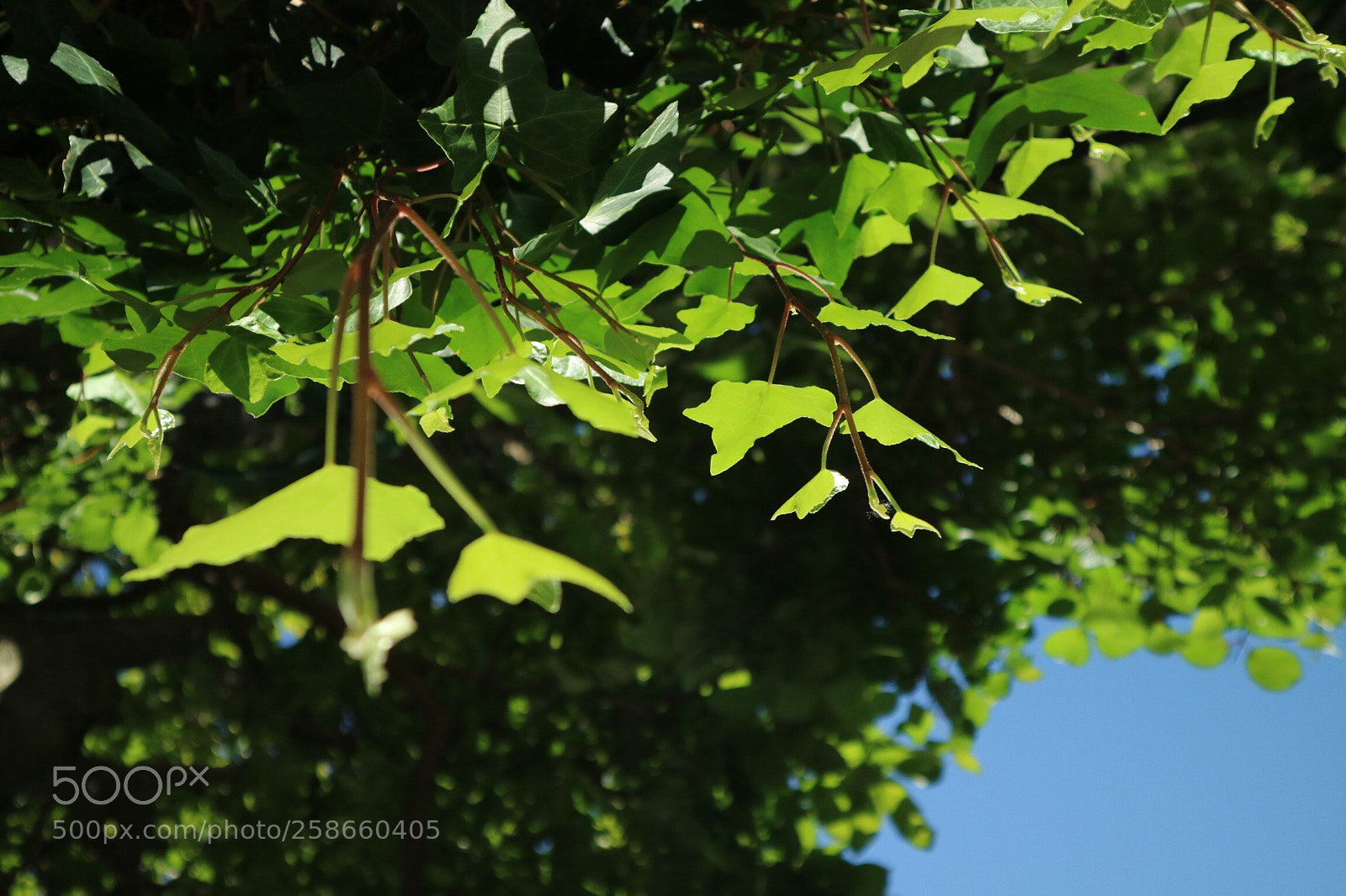 Canon EOS M3 sample photo. Untitled photography