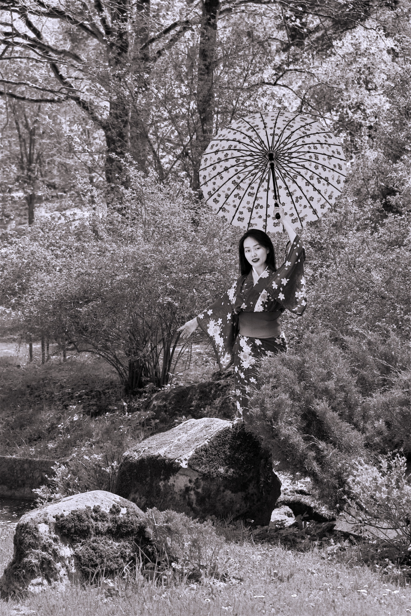 Nikon D5200 sample photo. Spring with oriental flavor photography
