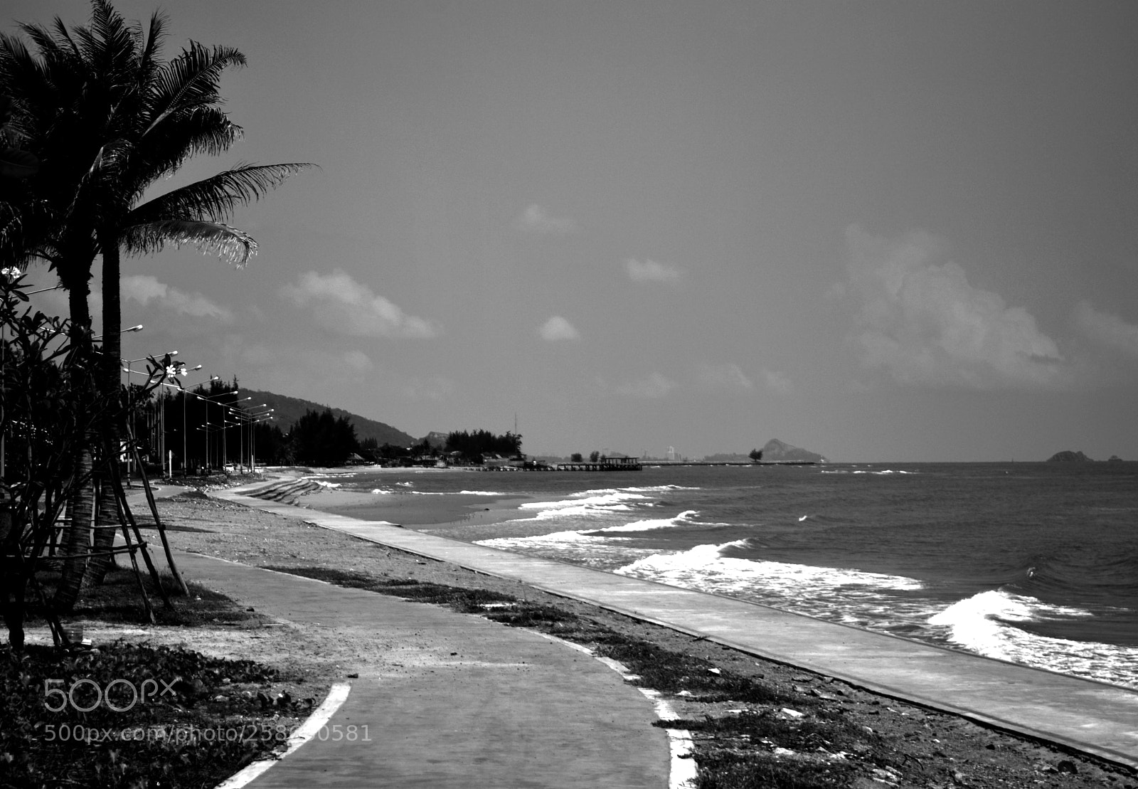 Nikon D5300 sample photo. Untitled photography