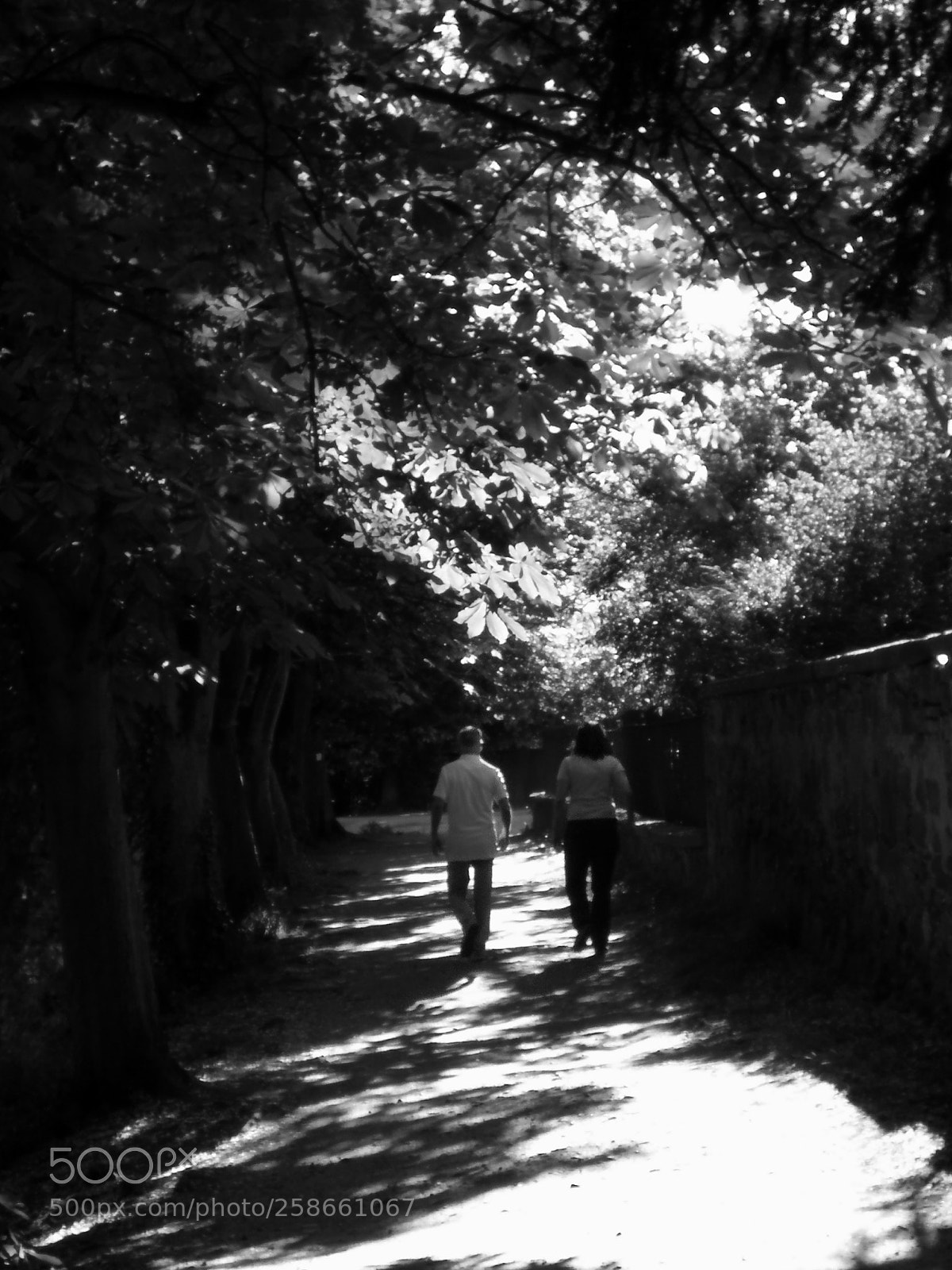 HUAWEI Mate 9 sample photo. B/w way photography