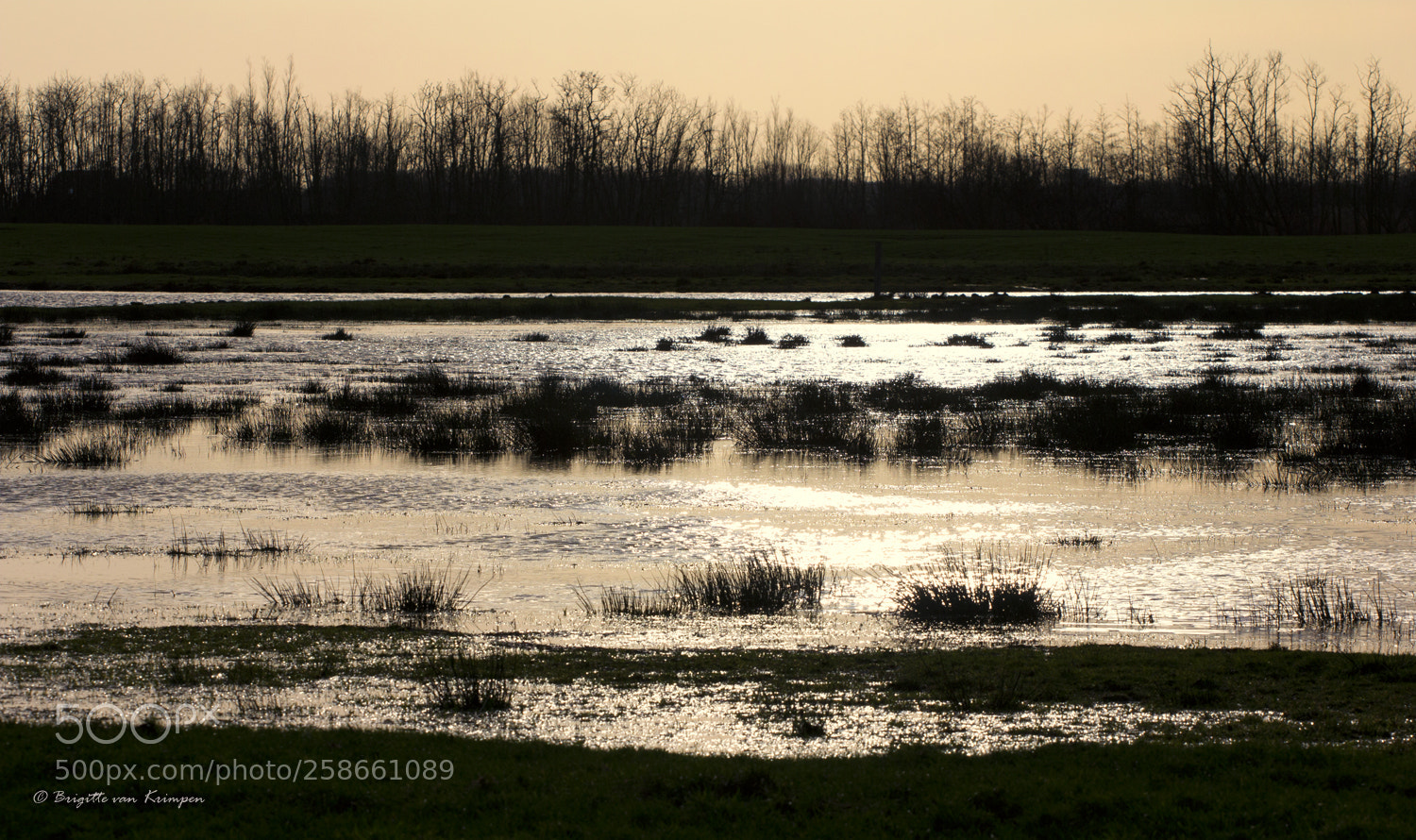 Canon EOS 60D sample photo. Ackerdijkse plassen photography