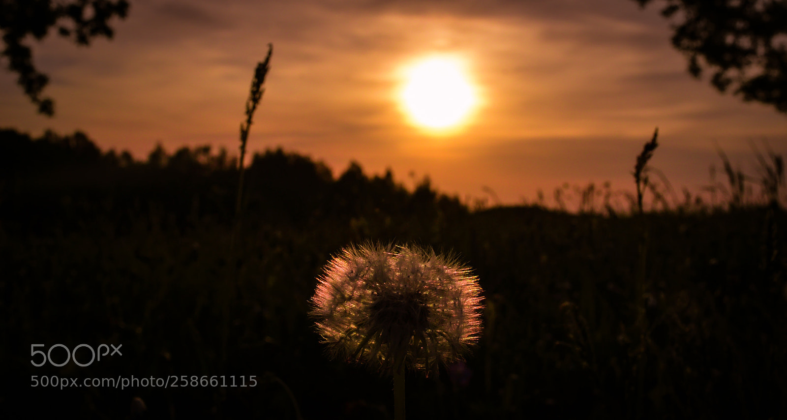 Nikon D3100 sample photo. Warm spring sunset photography