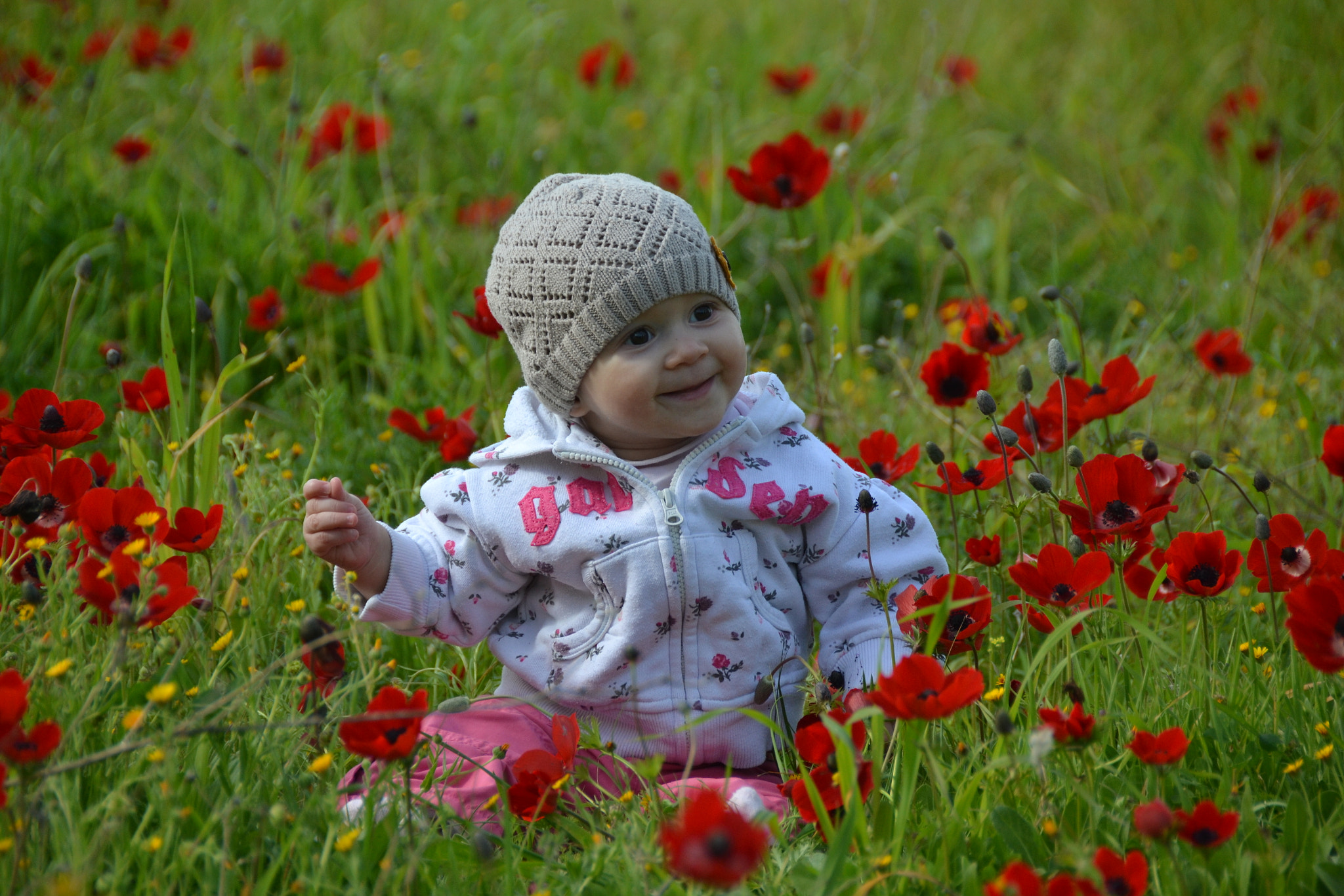 Nikon D3100 sample photo. Negev adom photography
