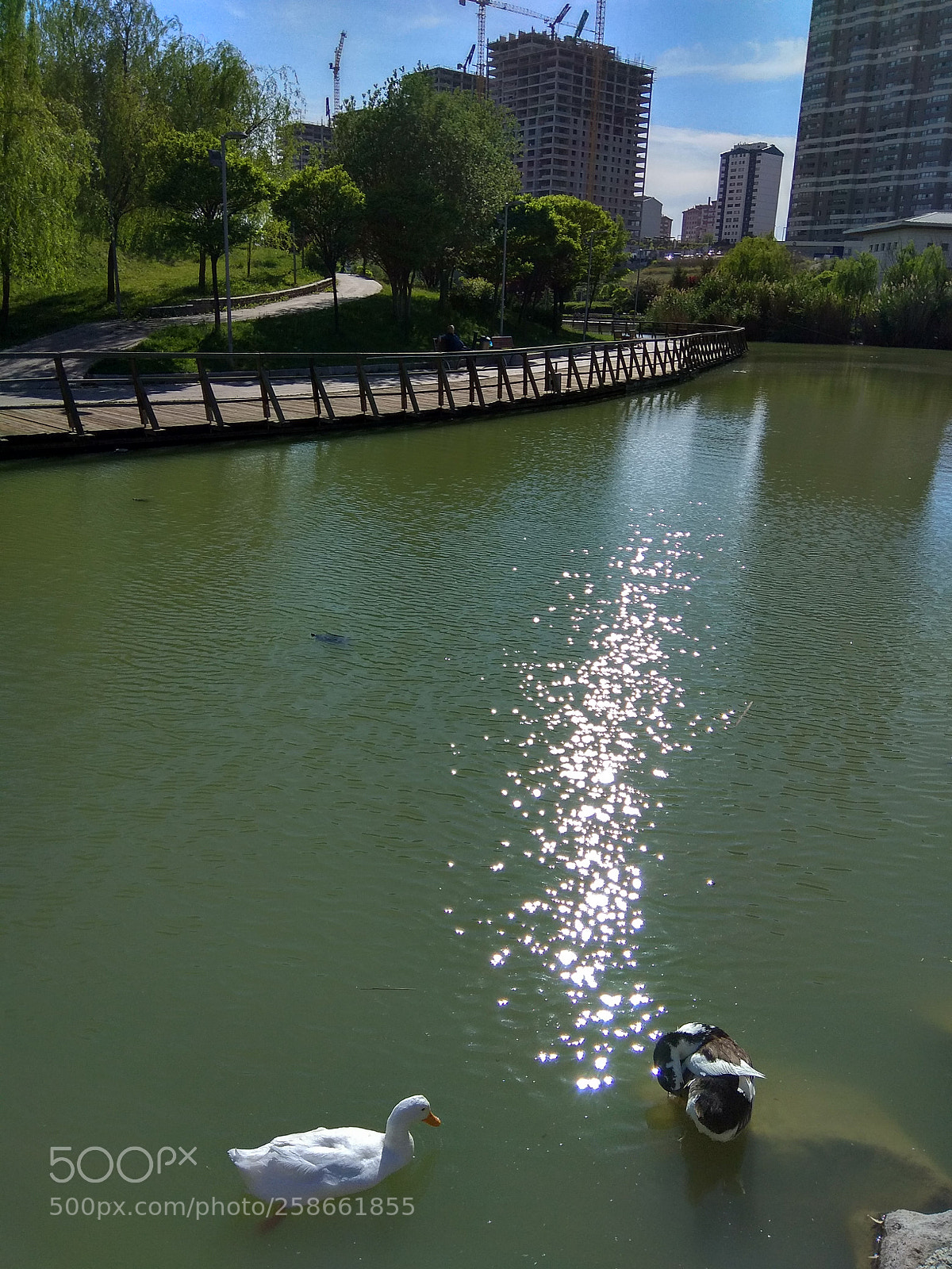 Xiaomi Redmi Note 4 sample photo. Let me look at photography