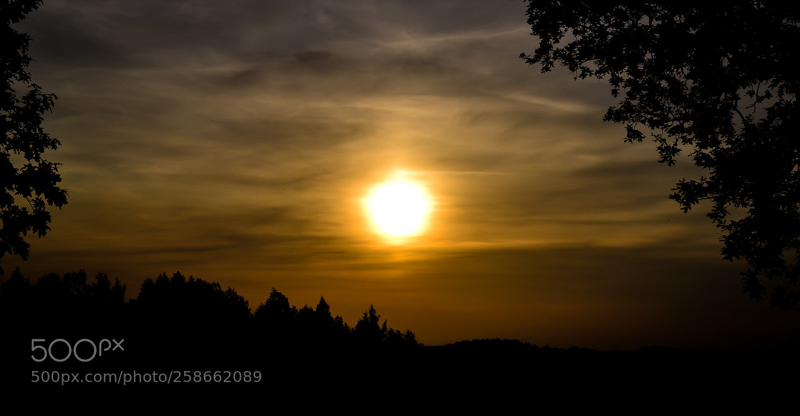 Nikon D3100 sample photo. Warm sunset photography