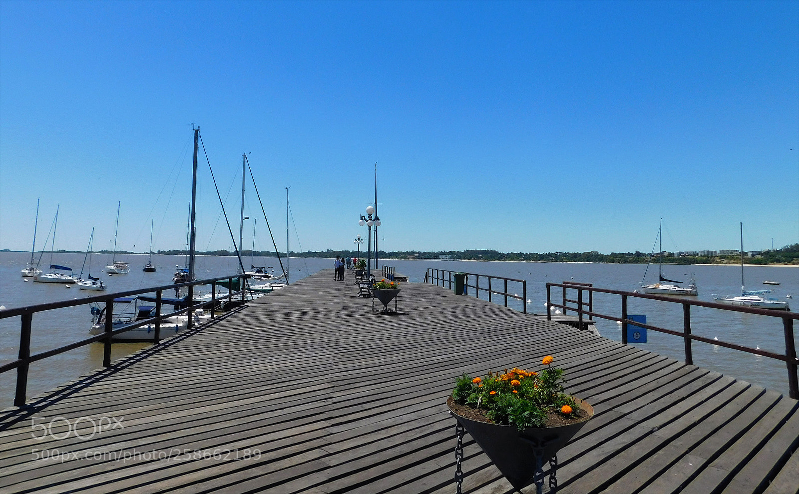 Nikon Coolpix L840 sample photo. Muelle del puerto de photography