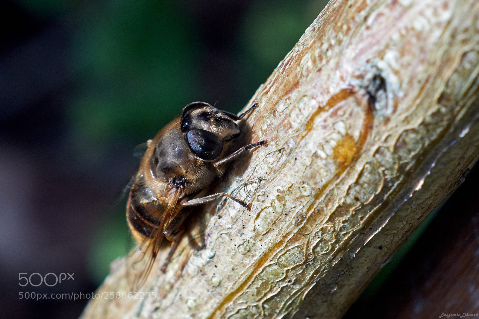 Fujifilm X-T20 sample photo. It's time to rest! photography