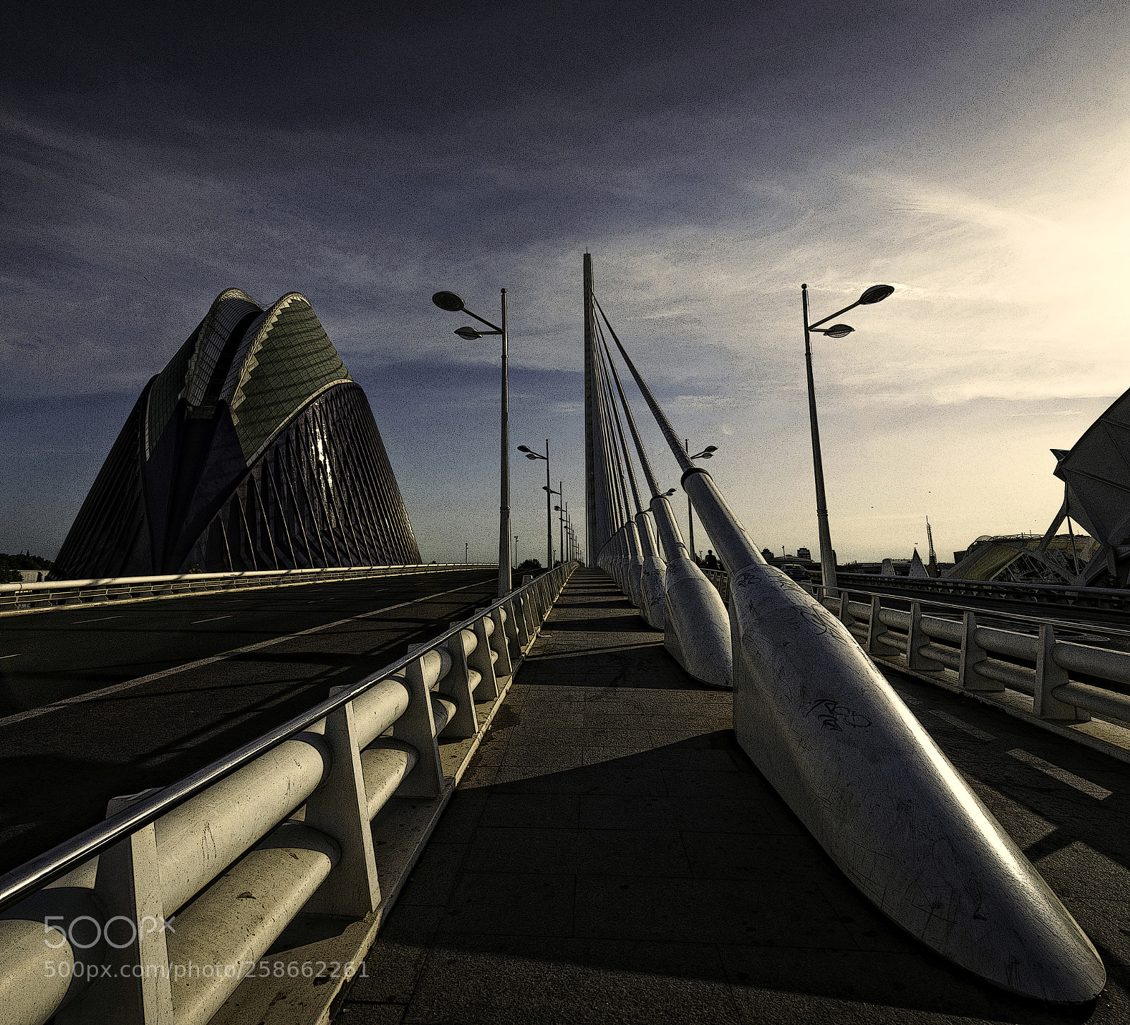 Nikon D800 sample photo. Bridge photography