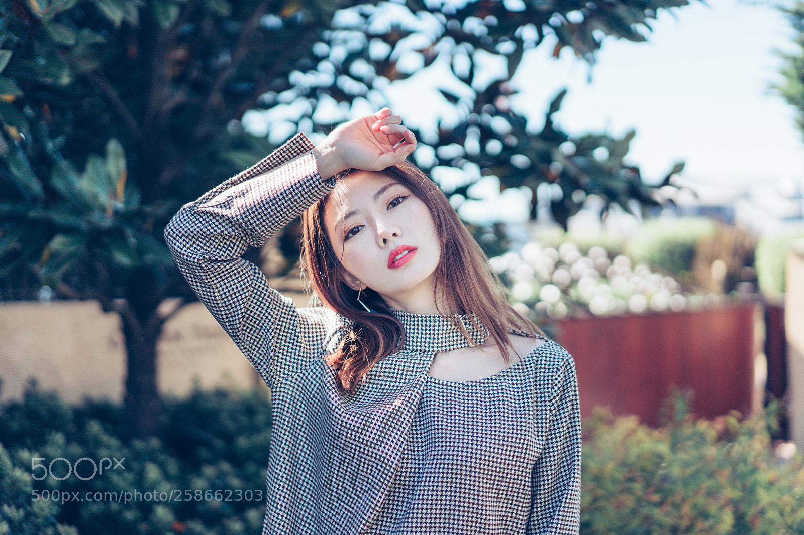 Sony a7 II sample photo. Untitled photography