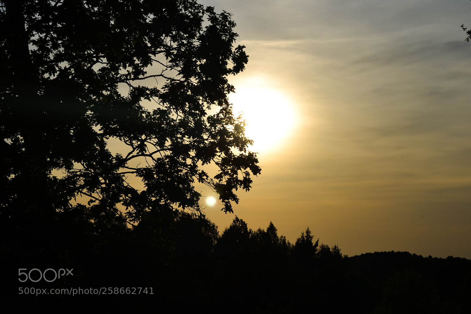 Nikon D3100 sample photo. Golden hour photography
