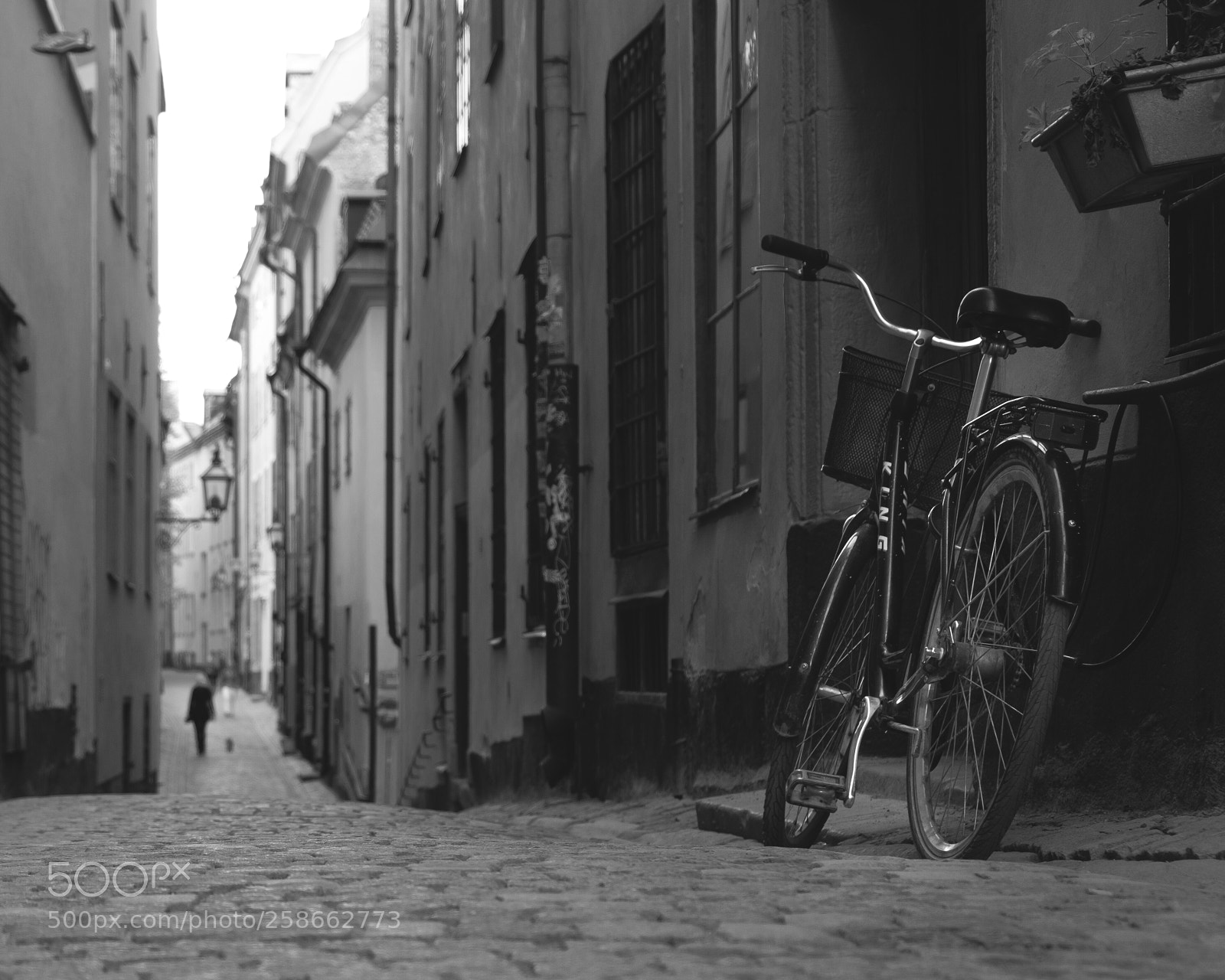 Fujifilm X-T20 sample photo. Untitled photography