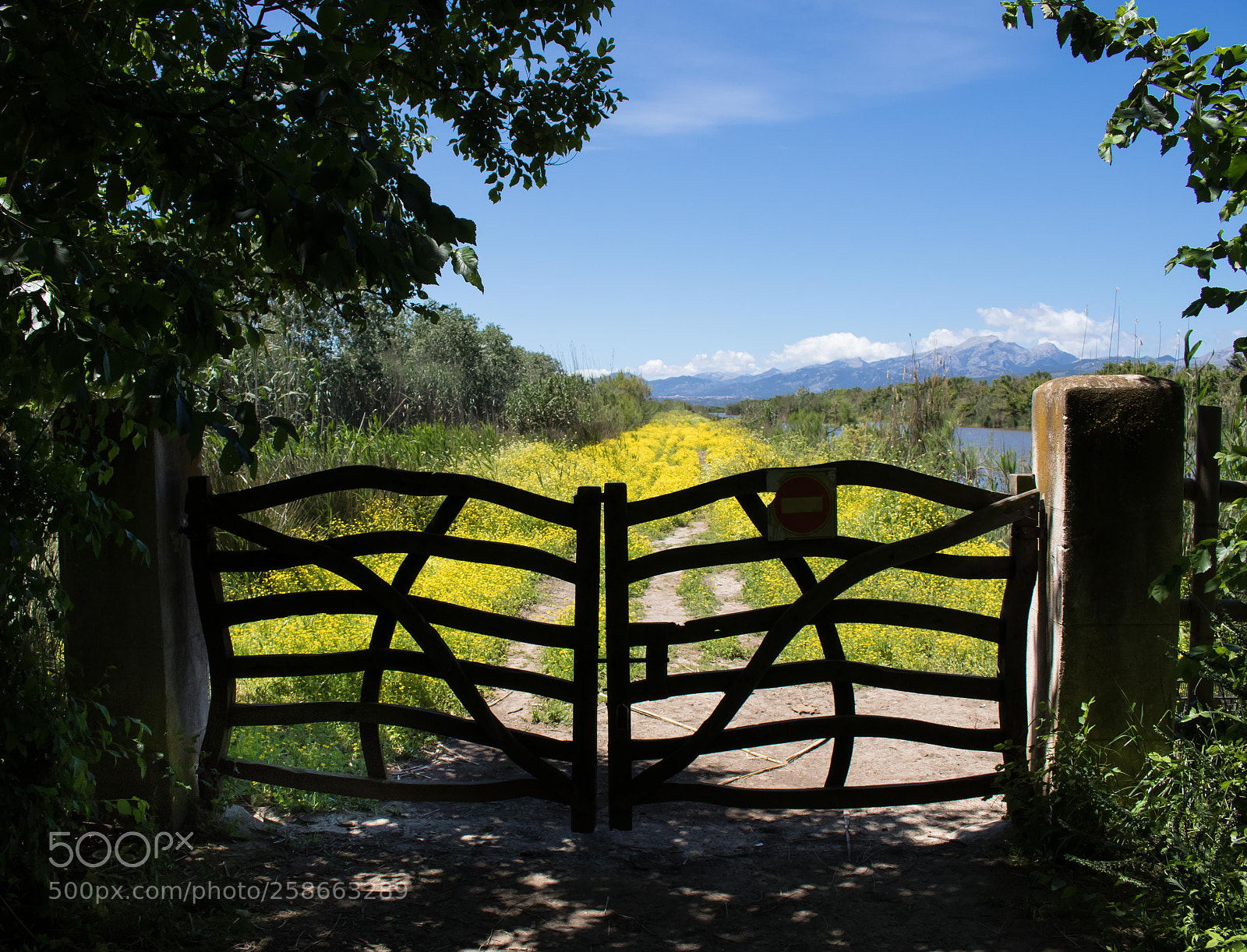 Canon EOS 7D Mark II sample photo. S'albufera natural park photography