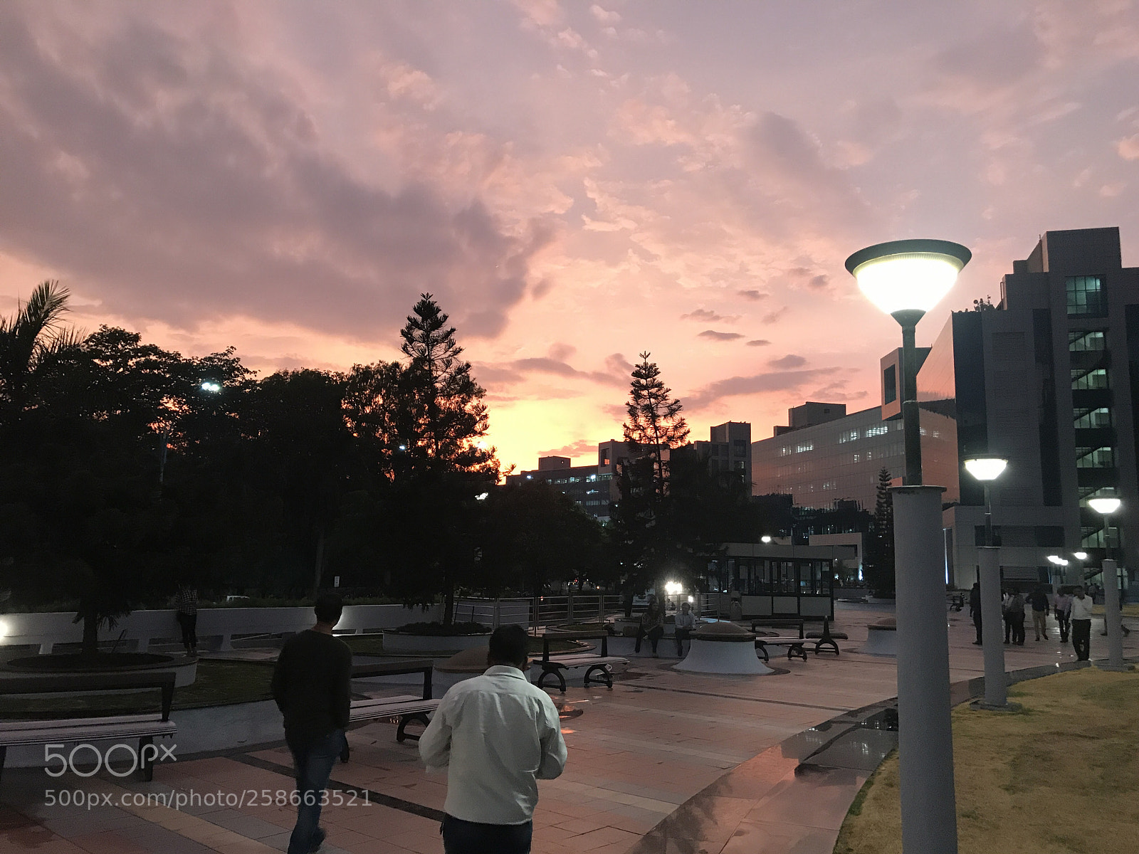 Apple iPhone 7 sample photo. Untitled photography