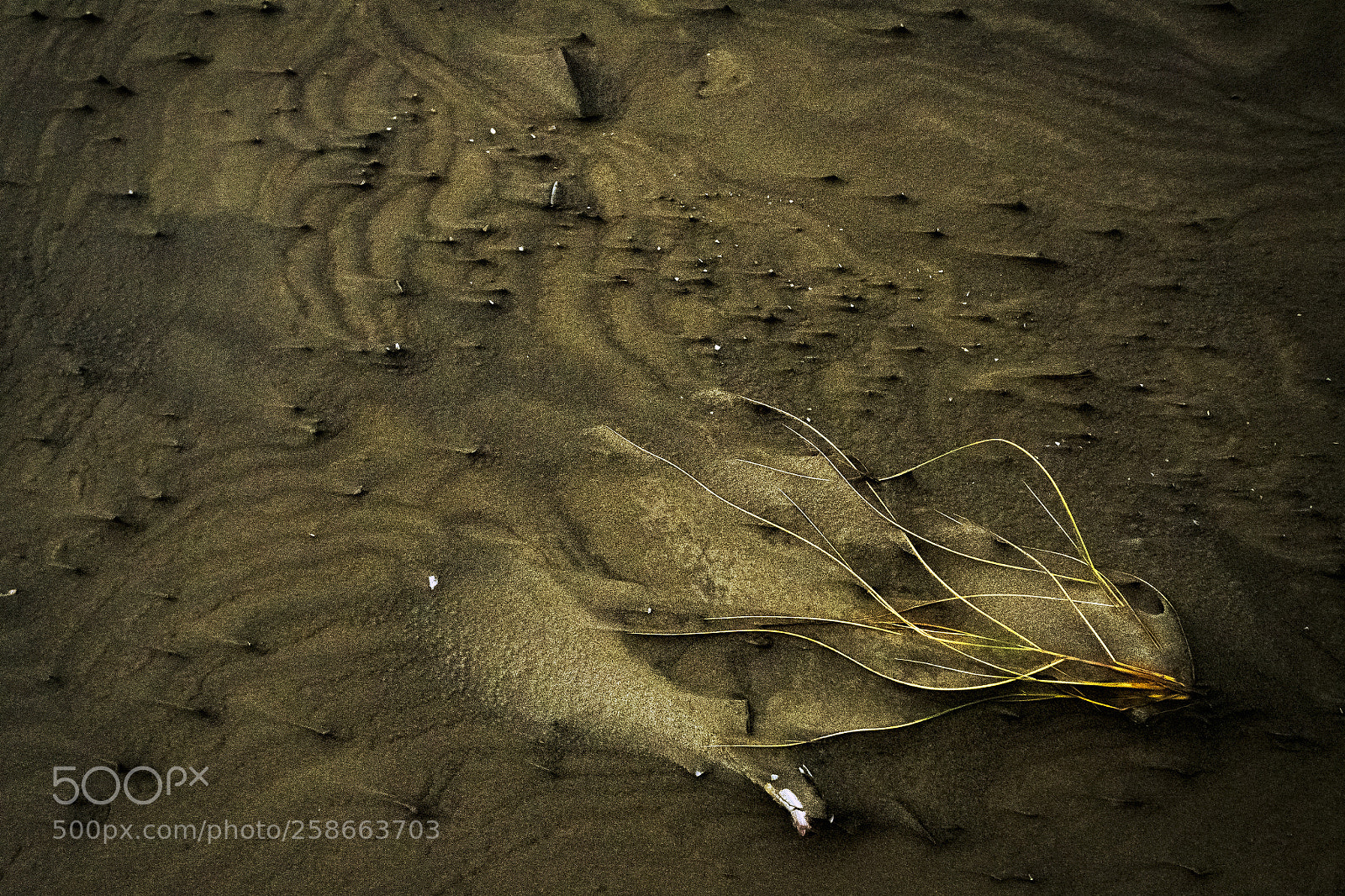 Fujifilm X-T2 sample photo. Jpeg kopie ren kopie photography