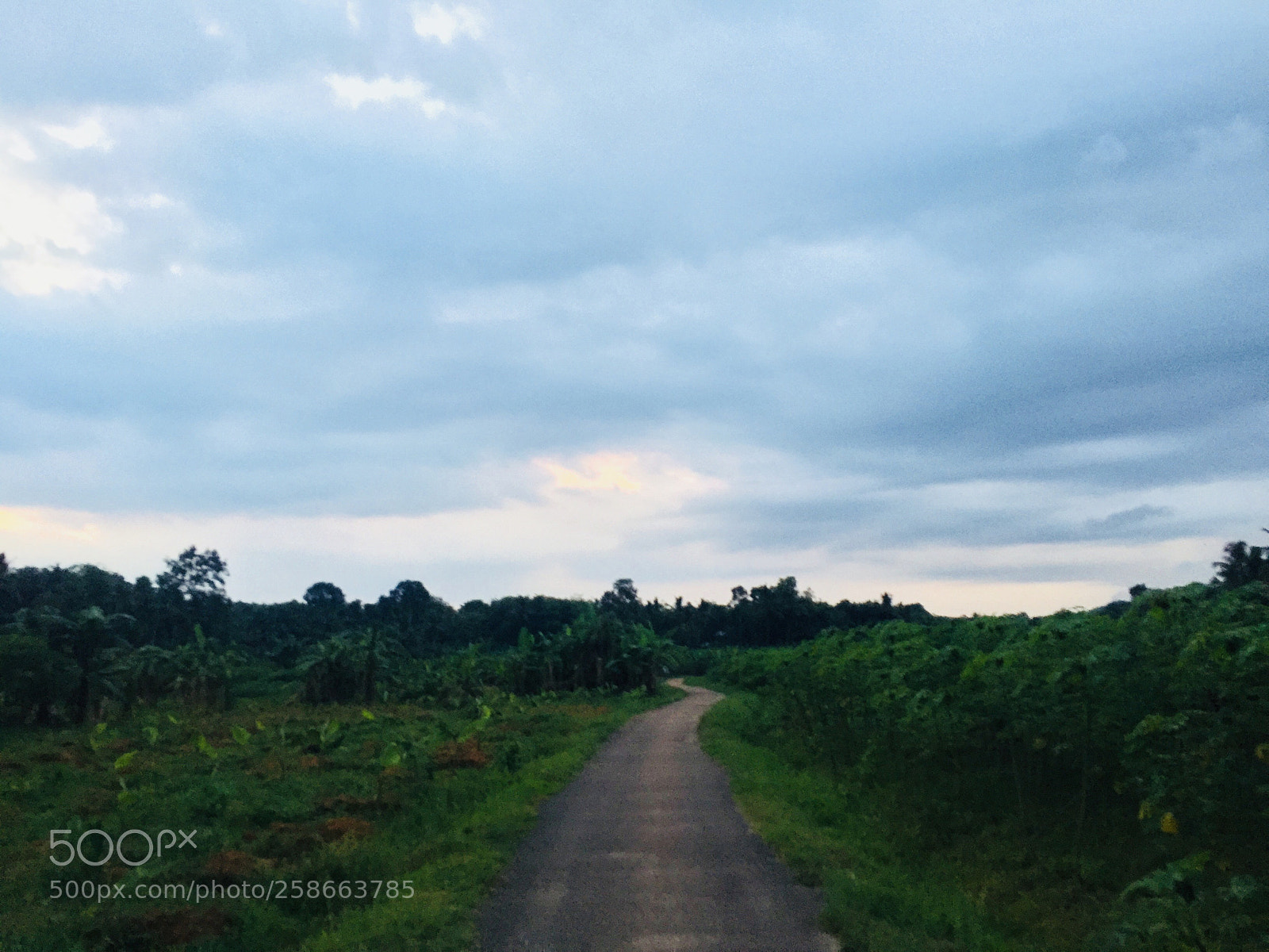 Apple iPhone 6 sample photo. The way ahead photography