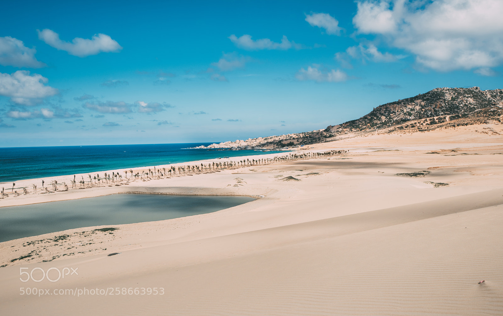 Nikon D810 sample photo. Mui dinh, ninhthuan, vietnam photography