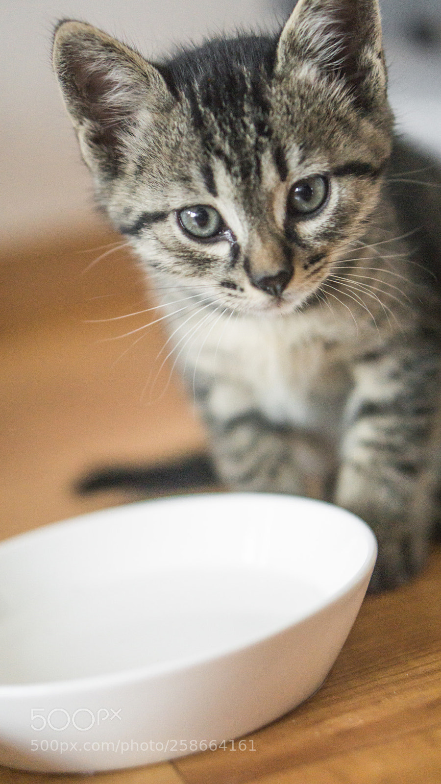 Sony a6000 sample photo. Illa #2 photography