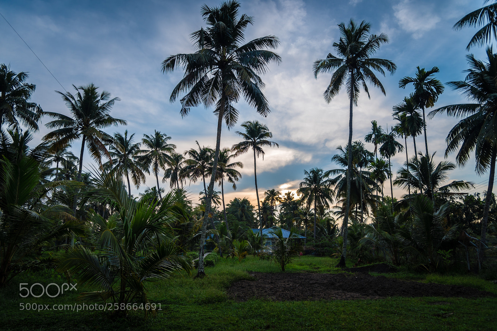 Nikon D750 sample photo. The rising sun photography