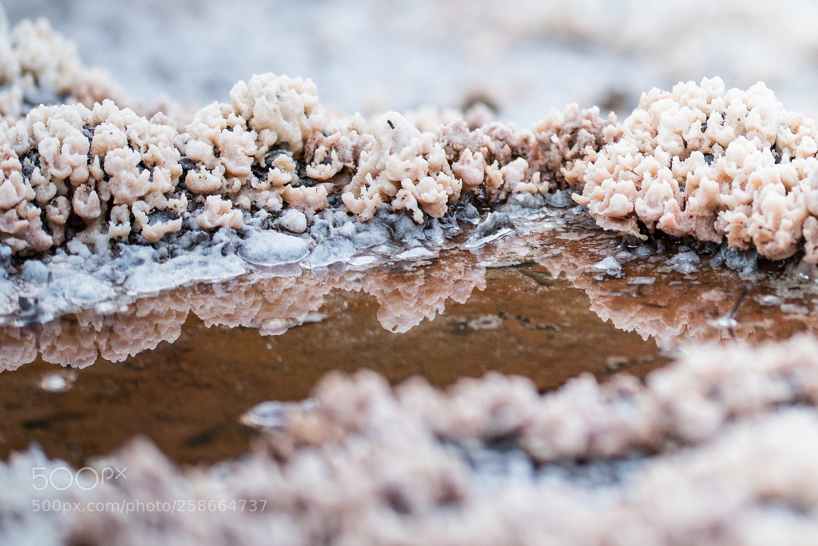 Nikon D750 sample photo. Salt photography