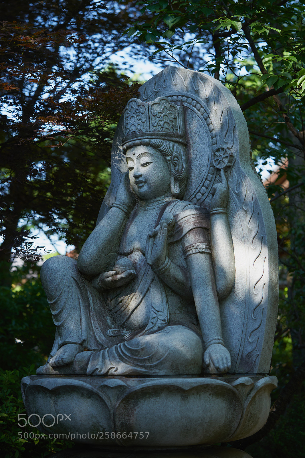 Sony a7 sample photo. Street 320 photography