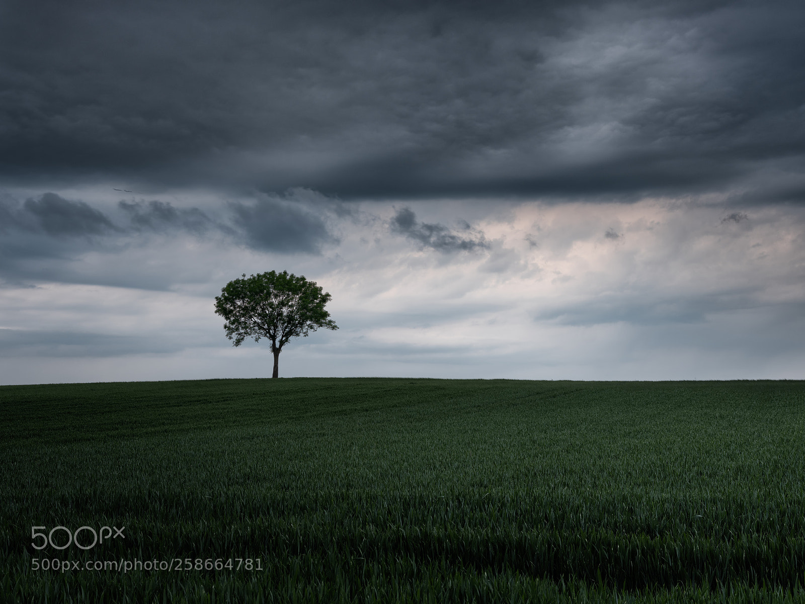 Fujifilm GFX 50S sample photo. Before the storm photography