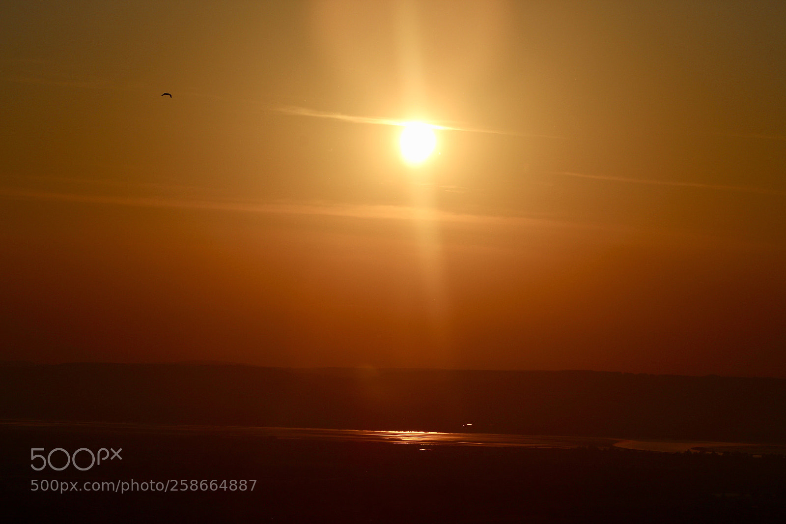 Canon EOS 1300D (EOS Rebel T6 / EOS Kiss X80) sample photo. Foggy sunset~ photography