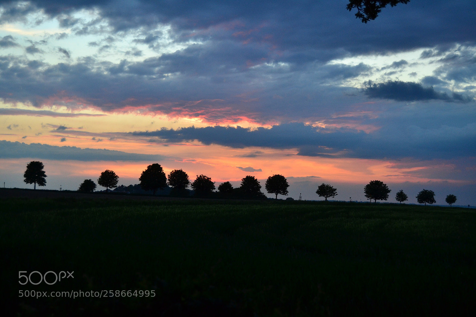 Nikon D3100 sample photo. Sonnenuntergang 1 photography